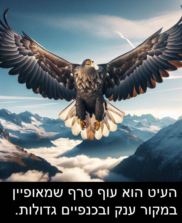 העיט: העיט הוא עוף טרף שמאופיין במקור ענק ובכנפיים גדולות.