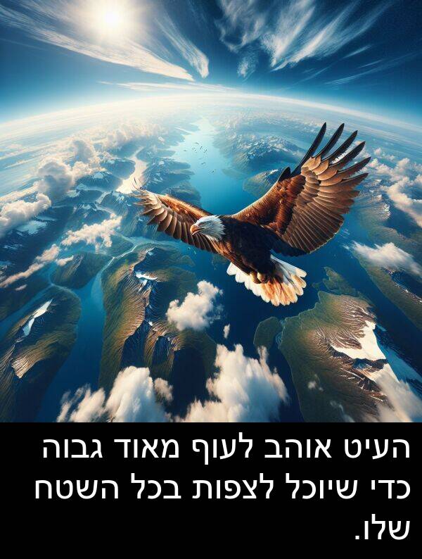 העיט: העיט אוהב לעוף מאוד גבוה כדי שיוכל לצפות בכל השטח שלו.