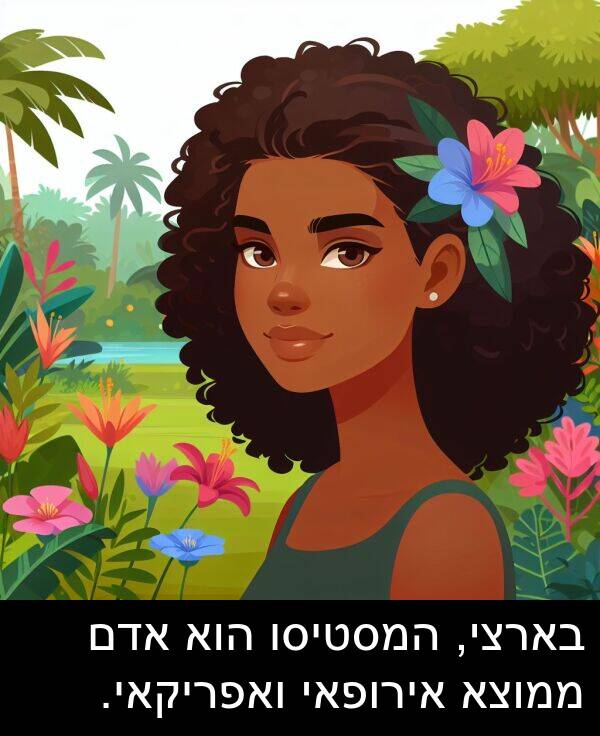 בארצי: בארצי, המסטיסו הוא אדם ממוצא אירופאי ואפריקאי.