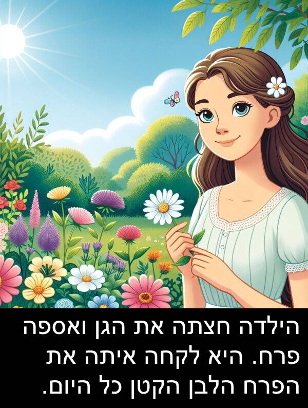 פרח: הילדה חצתה את הגן ואספה פרח. היא לקחה איתה את הפרח הלבן הקטן כל היום.