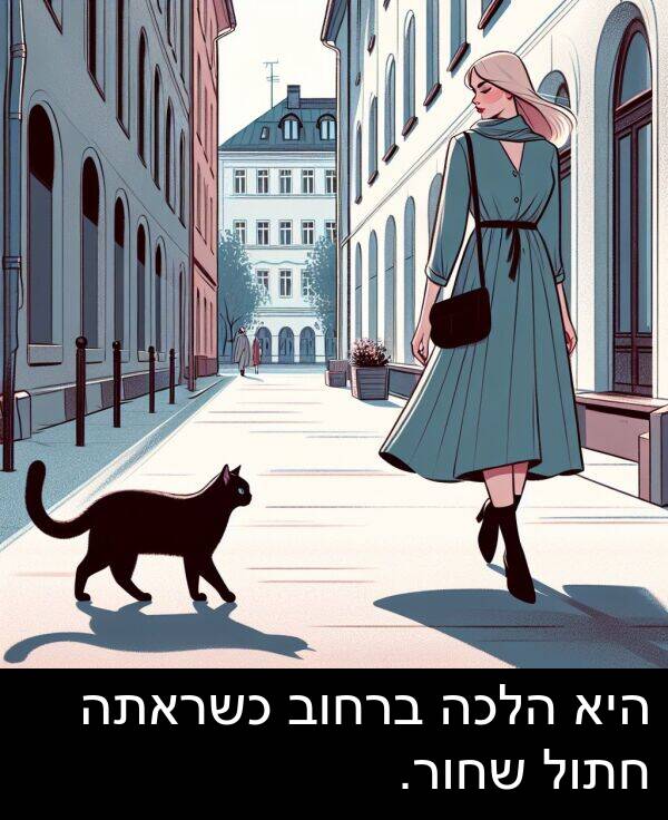 הלכה: היא הלכה ברחוב כשראתה חתול שחור.