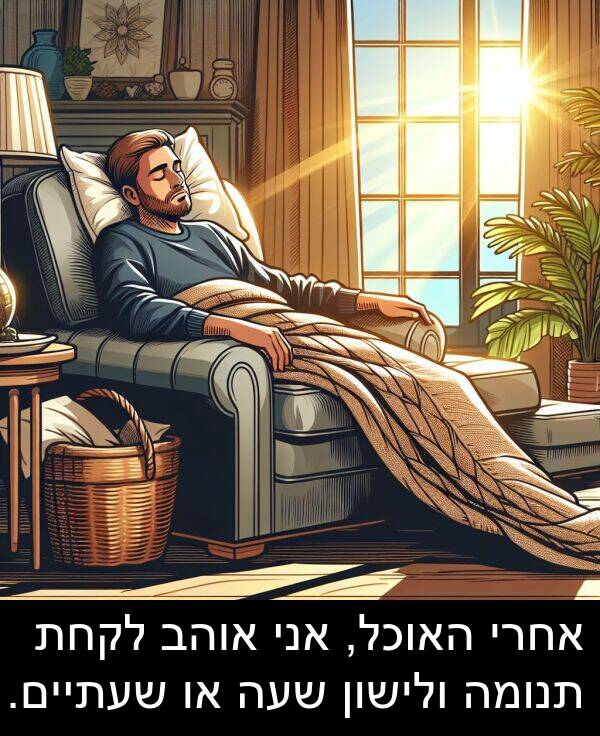 תנומה: אחרי האוכל, אני אוהב לקחת תנומה ולישון שעה או שעתיים.