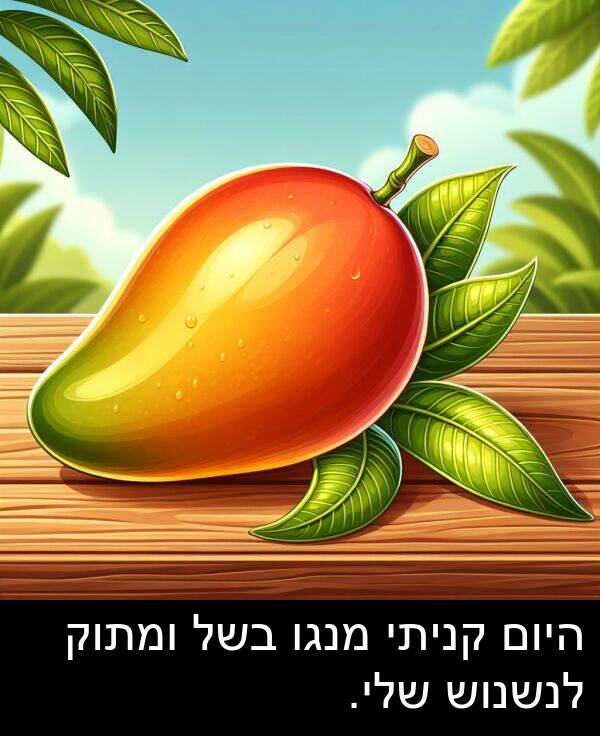 קניתי: היום קניתי מנגו בשל ומתוק לנשנוש שלי.
