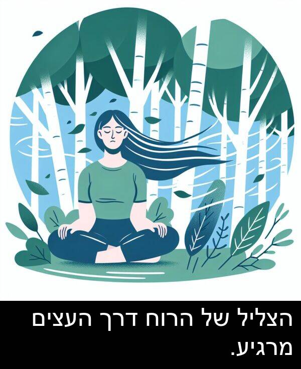 דרך: הצליל של הרוח דרך העצים מרגיע.