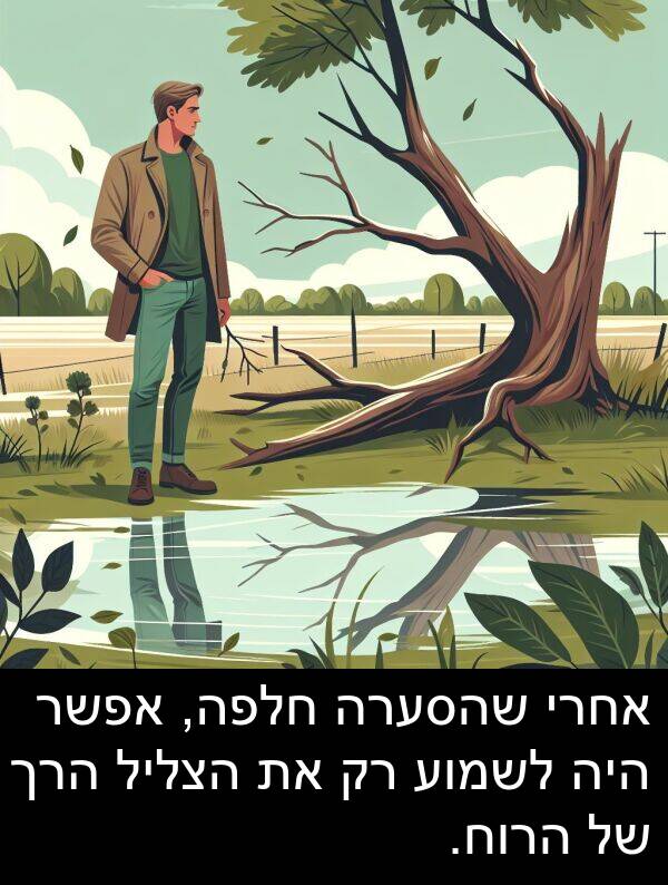 שהסערה: אחרי שהסערה חלפה, אפשר היה לשמוע רק את הצליל הרך של הרוח.