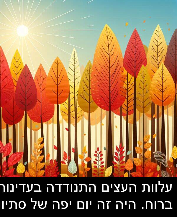 סתיו: עלוות העצים התנודדה בעדינות ברוח. היה זה יום יפה של סתיו.