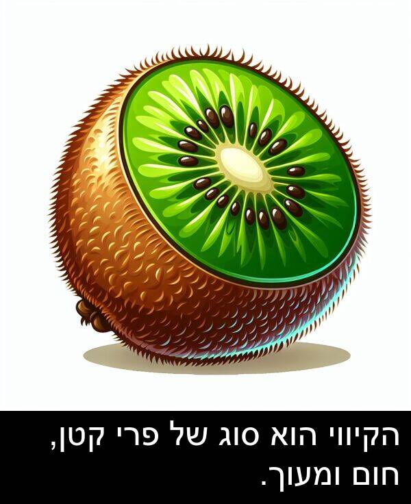 קטן: הקיווי הוא סוג של פרי קטן, חום ומעוך.