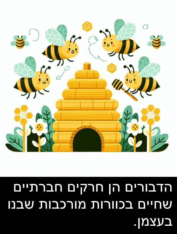 בעצמן: הדבורים הן חרקים חברתיים שחיים בכוורות מורכבות שבנו בעצמן.