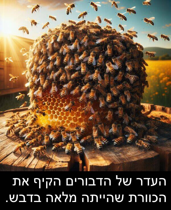 בדבש: העדר של הדבורים הקיף את הכוורת שהייתה מלאה בדבש.