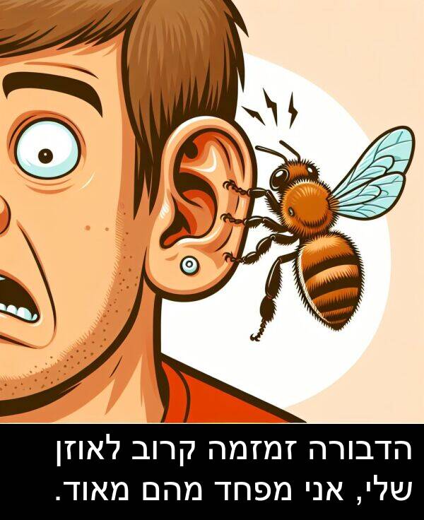 זמזמה: הדבורה זמזמה קרוב לאוזן שלי, אני מפחד מהם מאוד.