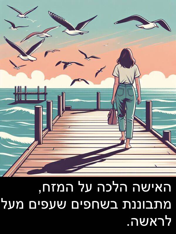 המזח: האישה הלכה על המזח, מתבוננת בשחפים שעפים מעל לראשה.