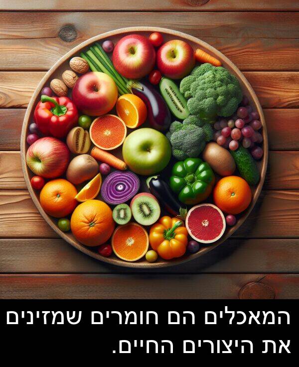 חומרים: המאכלים הם חומרים שמזינים את היצורים החיים.