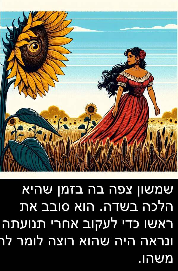 סובב: שמשון צפה בה בזמן שהיא הלכה בשדה. הוא סובב את ראשו כדי לעקוב אחרי תנועתה, ונראה היה שהוא רוצה לומר לה משהו.