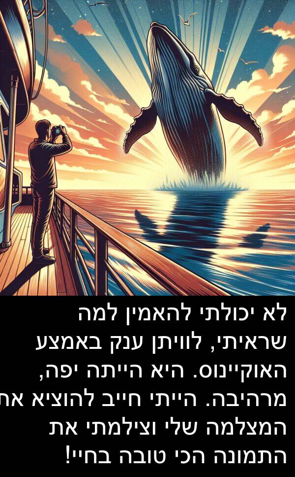 באמצע: לא יכולתי להאמין למה שראיתי, לוויתן ענק באמצע האוקיינוס. היא הייתה יפה, מרהיבה. הייתי חייב להוציא את המצלמה שלי וצילמתי את התמונה הכי טובה בחיי!