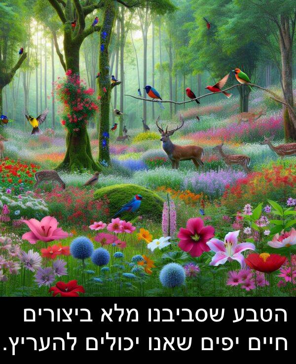 שאנו: הטבע שסביבנו מלא ביצורים חיים יפים שאנו יכולים להעריץ.