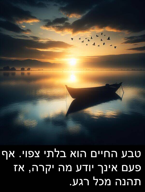 פעם: טבע החיים הוא בלתי צפוי. אף פעם אינך יודע מה יקרה, אז תהנה מכל רגע.
