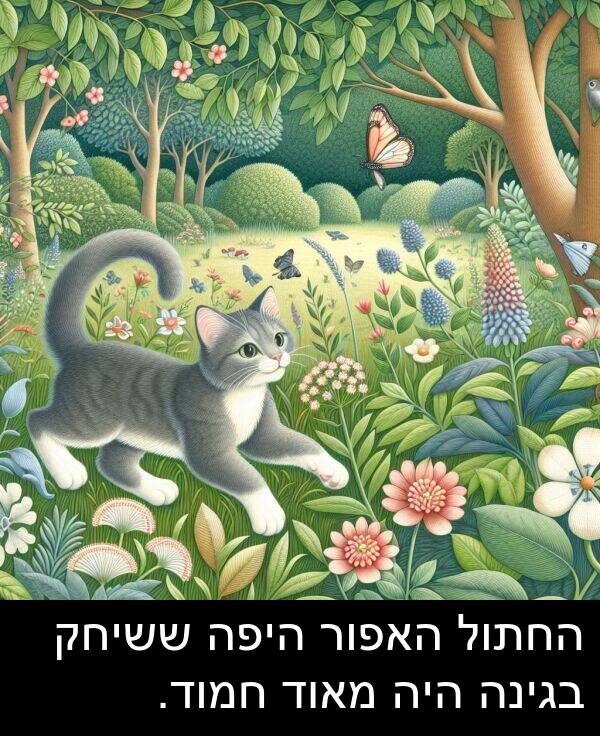 בגינה: החתול האפור היפה ששיחק בגינה היה מאוד חמוד.