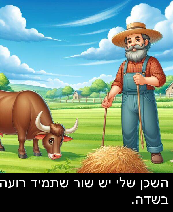 רועה: השכן שלי יש שור שתמיד רועה בשדה.
