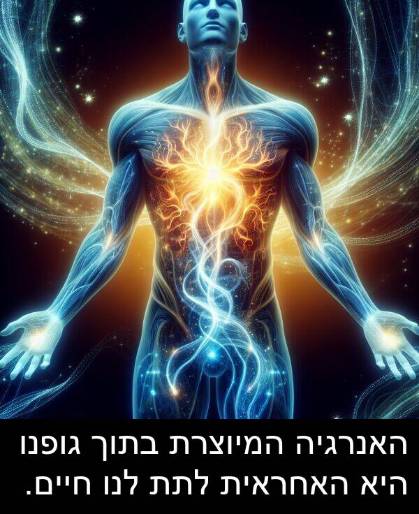 חיים: האנרגיה המיוצרת בתוך גופנו היא האחראית לתת לנו חיים.