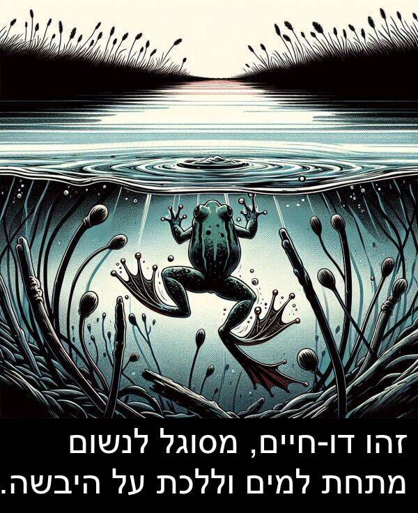 זהו: זהו דו-חיים, מסוגל לנשום מתחת למים וללכת על היבשה.