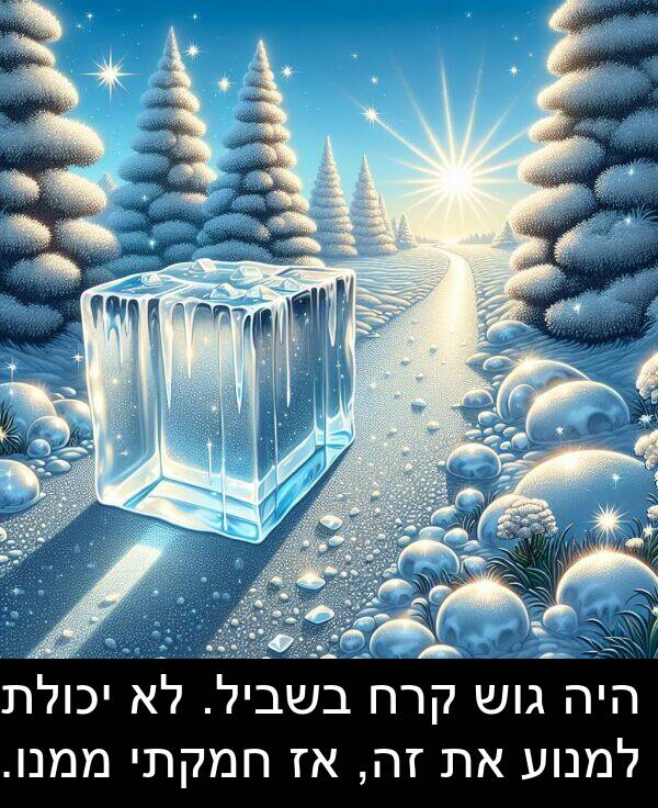 קרח: היה גוש קרח בשביל. לא יכולתי למנוע את זה, אז חמקתי ממנו.