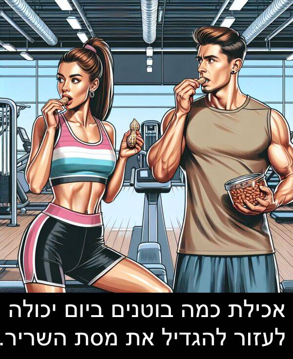 אכילת: אכילת כמה בוטנים ביום יכולה לעזור להגדיל את מסת השריר.