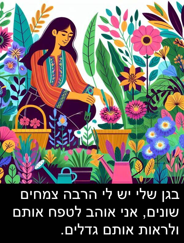 צמחים: בגן שלי יש לי הרבה צמחים שונים, אני אוהב לטפח אותם ולראות אותם גדלים.