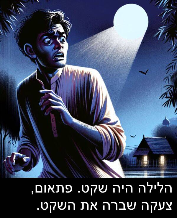 פתאום: הלילה היה שקט. פתאום, צעקה שברה את השקט.