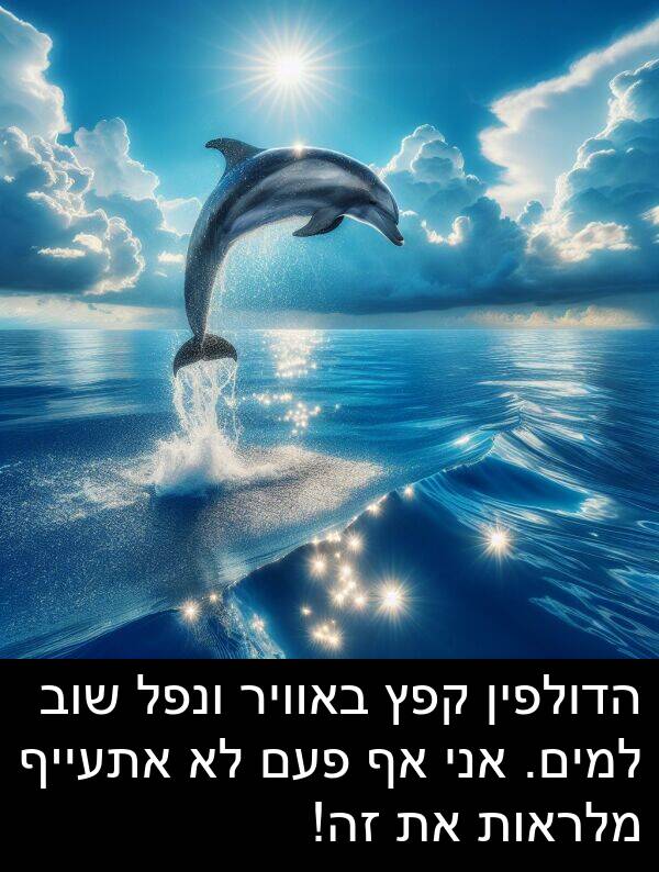 באוויר: הדולפין קפץ באוויר ונפל שוב למים. אני אף פעם לא אתעייף מלראות את זה!