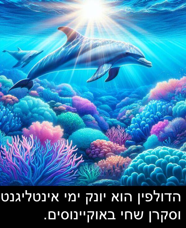באוקיינוסים: הדולפין הוא יונק ימי אינטליגנטי וסקרן שחי באוקיינוסים.