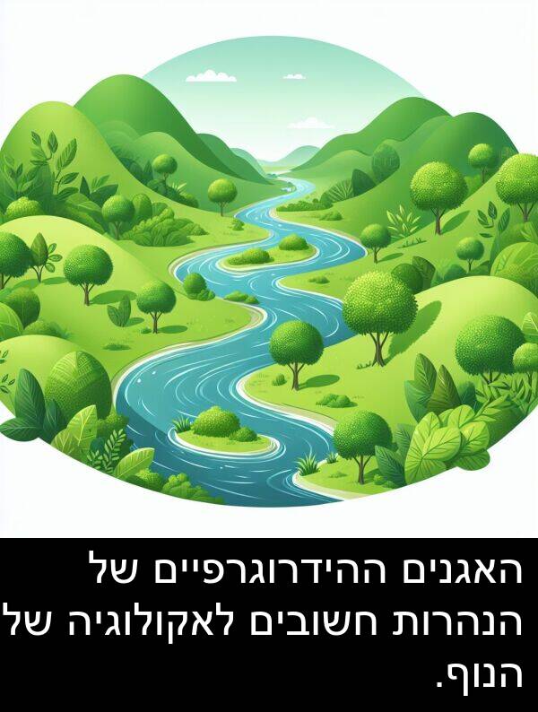 האגנים: האגנים ההידרוגרפיים של הנהרות חשובים לאקולוגיה של הנוף.