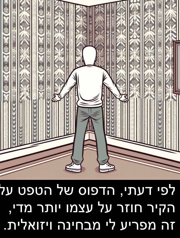 מדי: לפי דעתי, הדפוס של הטפט על הקיר חוזר על עצמו יותר מדי, זה מפריע לי מבחינה ויזואלית.
