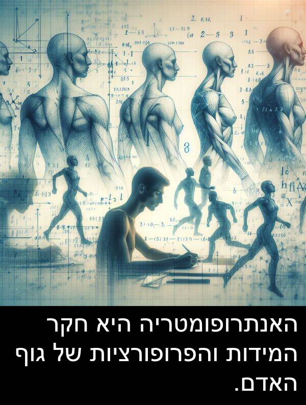 גוף: האנתרופומטריה היא חקר המידות והפרופורציות של גוף האדם.