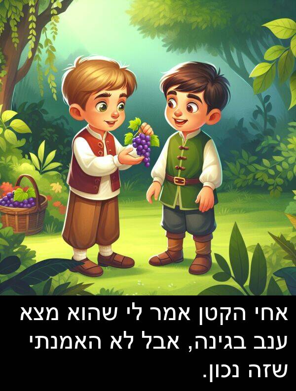 בגינה: אחי הקטן אמר לי שהוא מצא ענב בגינה, אבל לא האמנתי שזה נכון.