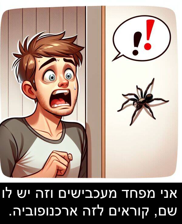 קוראים: אני מפחד מעכבישים וזה יש לו שם, קוראים לזה ארכנופוביה.