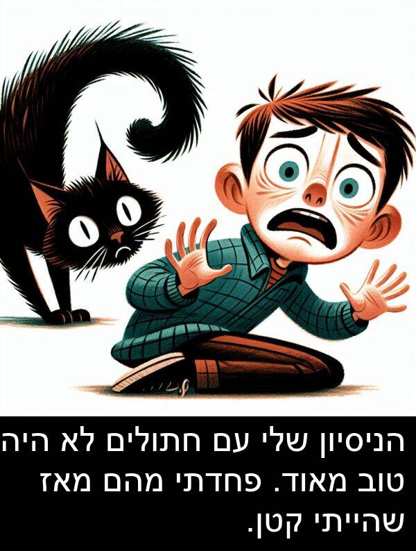 פחדתי: הניסיון שלי עם חתולים לא היה טוב מאוד. פחדתי מהם מאז שהייתי קטן.
