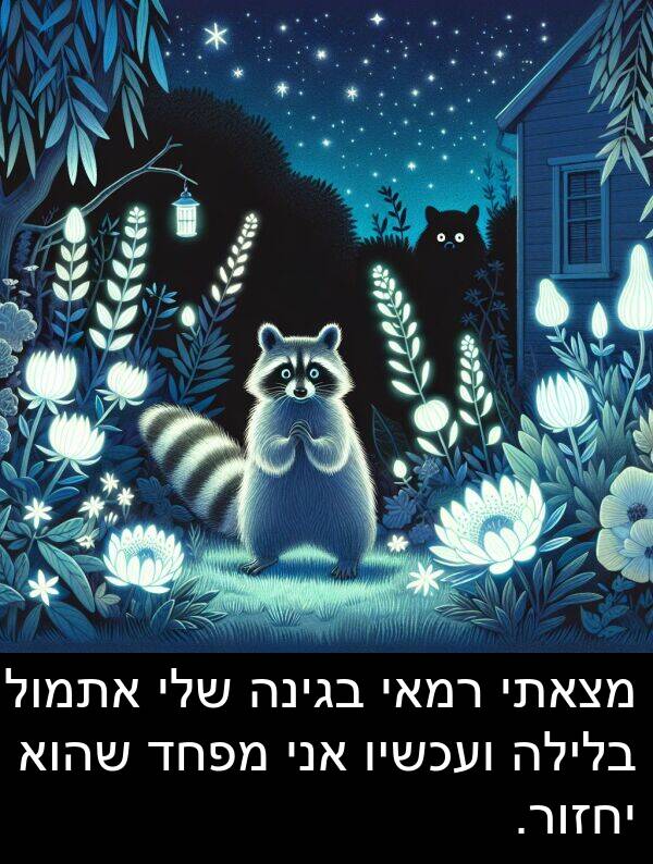 בגינה: מצאתי רמאי בגינה שלי אתמול בלילה ועכשיו אני מפחד שהוא יחזור.