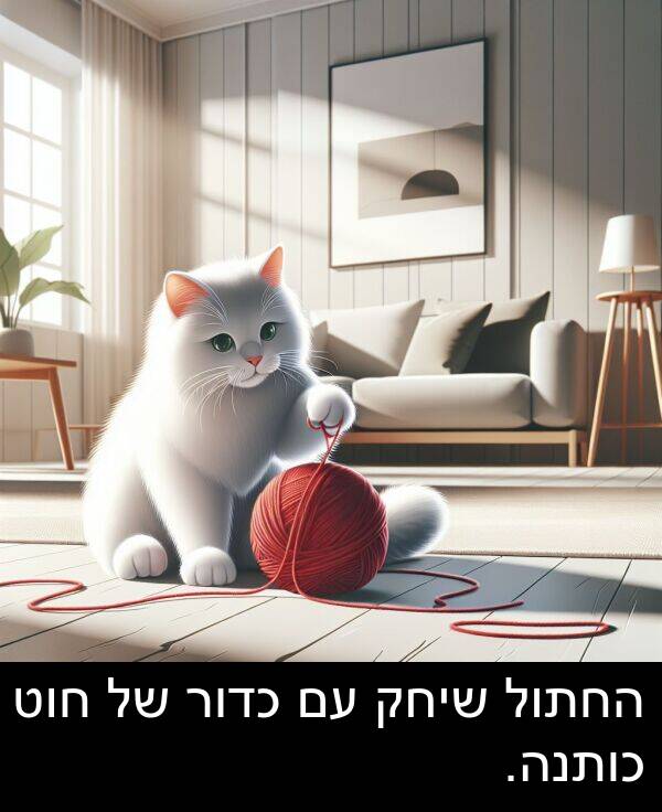 חוט: החתול שיחק עם כדור של חוט כותנה.