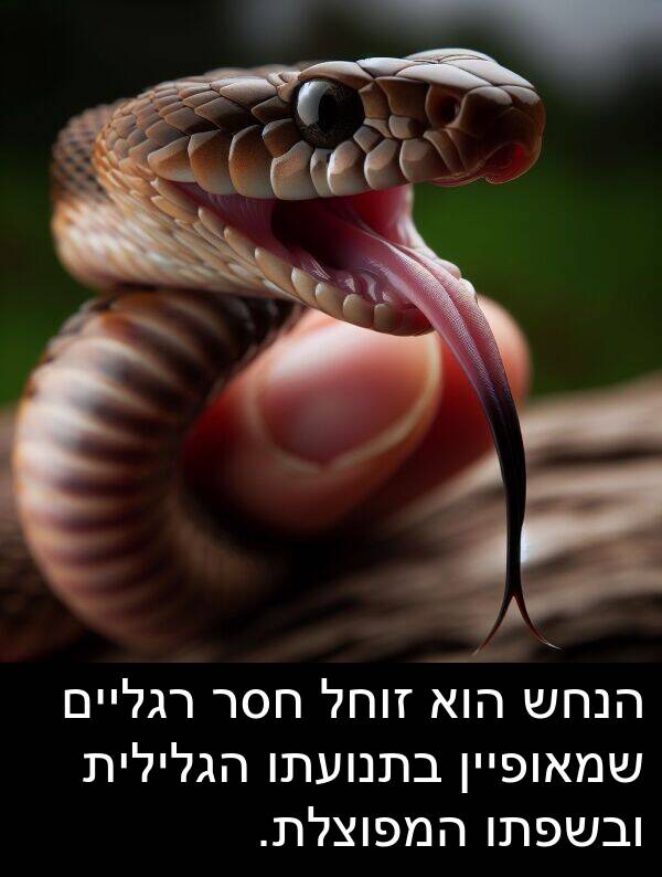 זוחל: הנחש הוא זוחל חסר רגליים שמאופיין בתנועתו הגלילית ובשפתו המפוצלת.