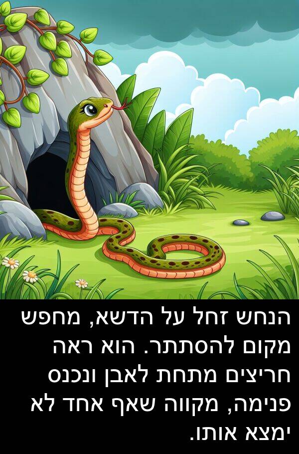 פנימה: הנחש זחל על הדשא, מחפש מקום להסתתר. הוא ראה חריצים מתחת לאבן ונכנס פנימה, מקווה שאף אחד לא ימצא אותו.