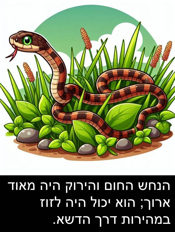 דרך: הנחש החום והירוק היה מאוד ארוך; הוא יכול היה לזוז במהירות דרך הדשא.