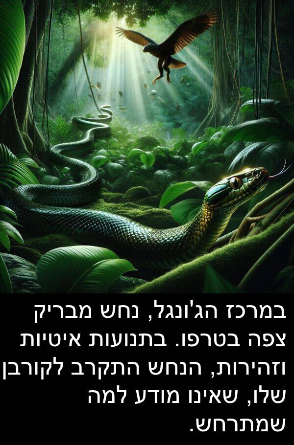 מבריק: במרכז הג'ונגל, נחש מבריק צפה בטרפו. בתנועות איטיות וזהירות, הנחש התקרב לקורבן שלו, שאינו מודע למה שמתרחש.