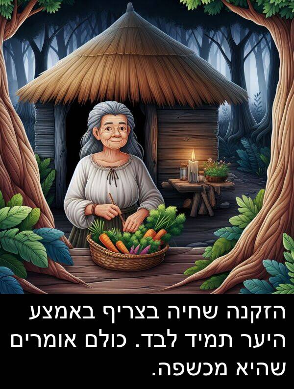 באמצע: הזקנה שחיה בצריף באמצע היער תמיד לבד. כולם אומרים שהיא מכשפה.