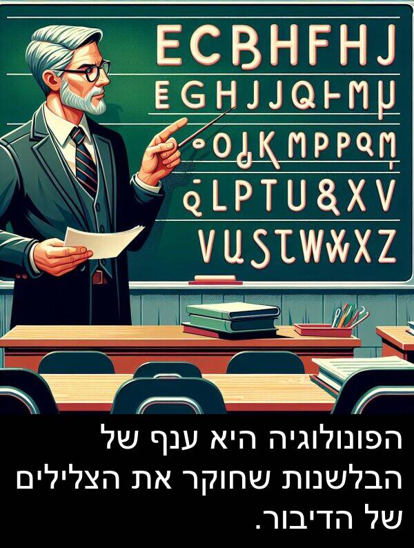 ענף: הפונולוגיה היא ענף של הבלשנות שחוקר את הצלילים של הדיבור.