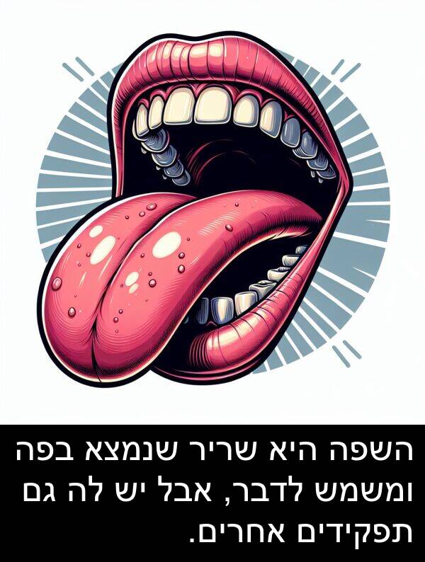 בפה: השפה היא שריר שנמצא בפה ומשמש לדבר, אבל יש לה גם תפקידים אחרים.
