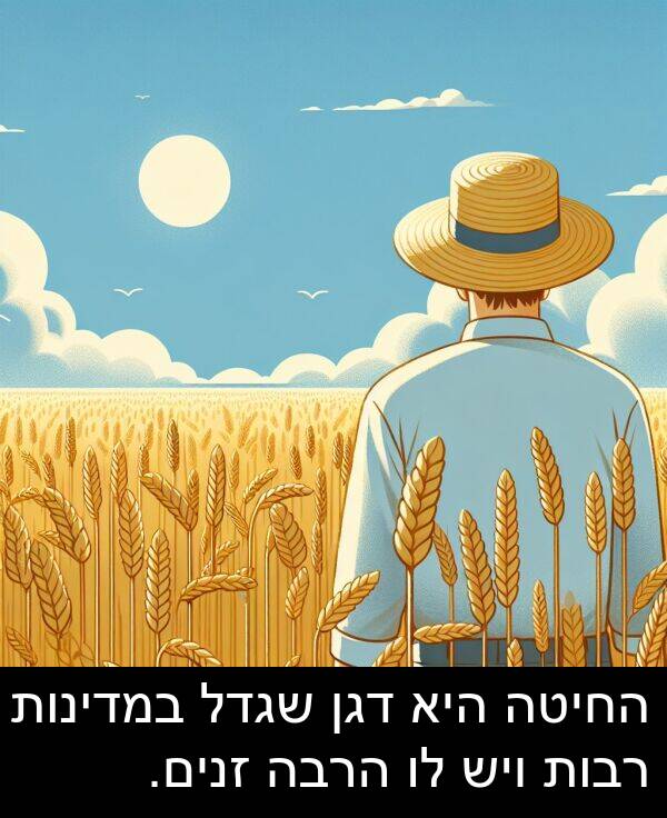 דגן: החיטה היא דגן שגדל במדינות רבות ויש לו הרבה זנים.