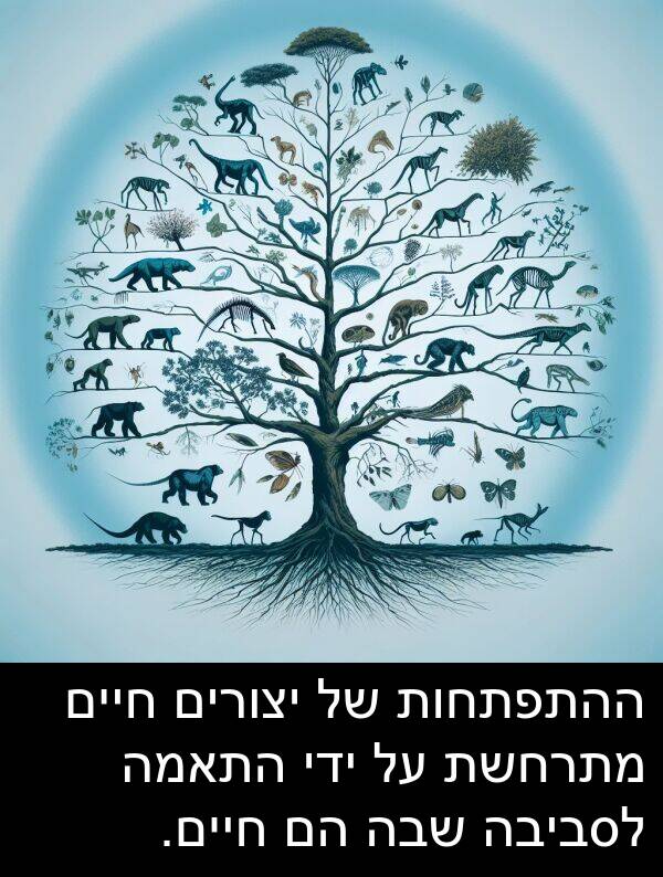 שבה: ההתפתחות של יצורים חיים מתרחשת על ידי התאמה לסביבה שבה הם חיים.