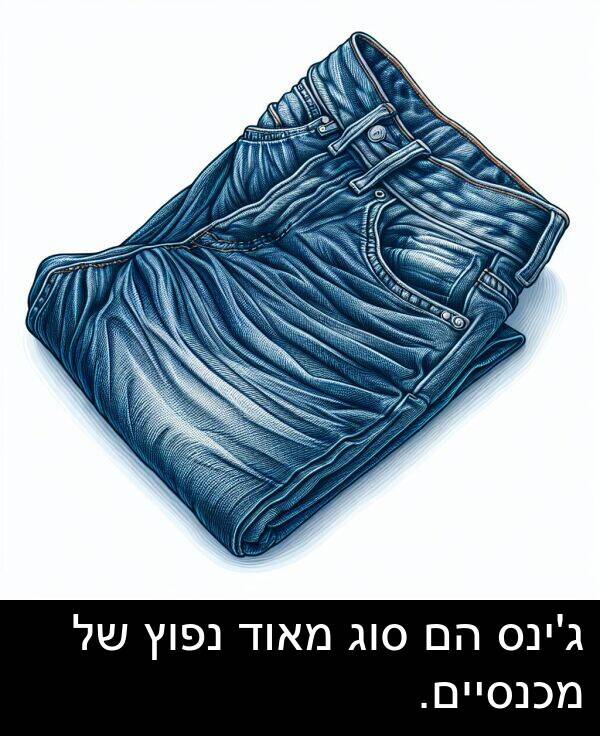 סוג: ג'ינס הם סוג מאוד נפוץ של מכנסיים.