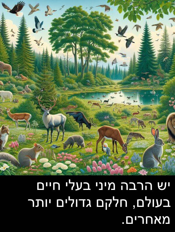 מאחרים: יש הרבה מיני בעלי חיים בעולם, חלקם גדולים יותר מאחרים.