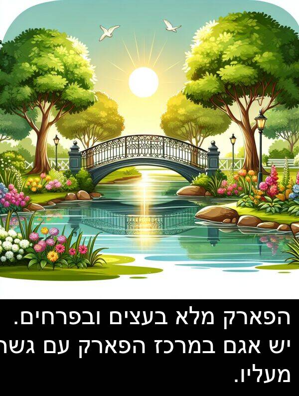 אגם: הפארק מלא בעצים ובפרחים. יש אגם במרכז הפארק עם גשר מעליו.